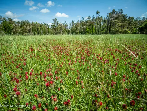 N Mollett Road, Benton, MS 39039 photo 10