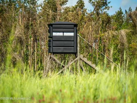 N Mollett Road, Benton, MS 39039 photo 8