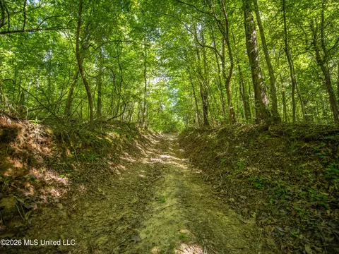 N Mollett Road, Benton, MS 39039 photo 7