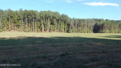 545 County Road 247, Bruce, MS 38915 photo 6
