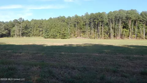 545 County Road 247, Bruce, MS 38915 photo 5