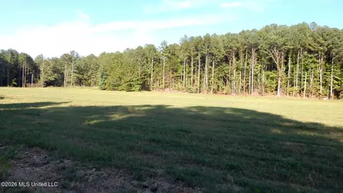 545 County Road 247, Bruce, MS 38915 photo 7