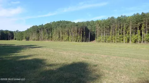 Co Rd 247, Bruce, MS 38915 photo 5