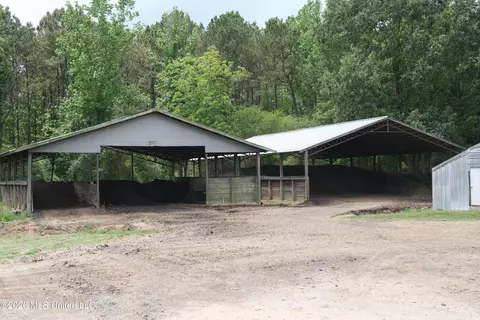 6620 Adams Rd, Smithdale, MS 39664 photo 29