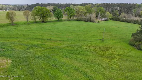 6620 Adams Rd, Smithdale, MS 39664 photo 9