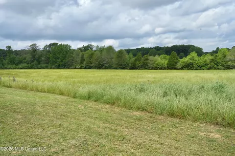 6620 Adams Rd, Smithdale, MS 39664 photo 20