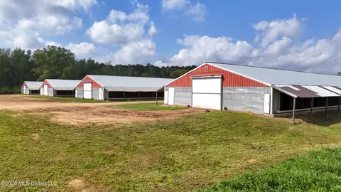 6620 Adams Rd, Smithdale, MS 39664 photo 12