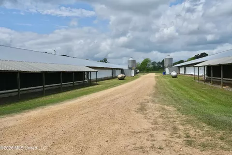 6620 Adams Rd, Smithdale, MS 39664 photo 19