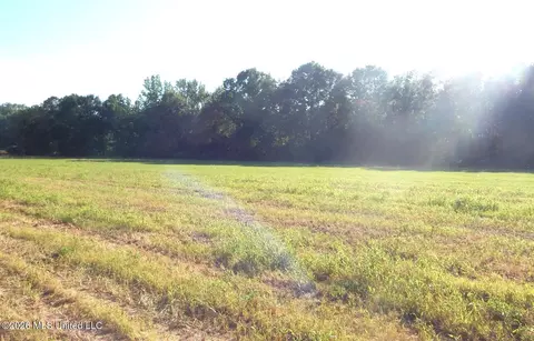 County Road 247, Bruce, MS 38915 photo 4
