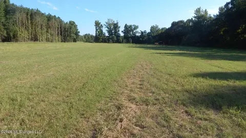 County Road 247, Bruce, MS 38915