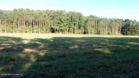 County Road 247, Bruce, MS 38915 photo 6