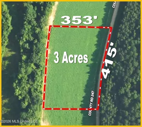 County Road 247, Bruce, MS 38915 photo 2