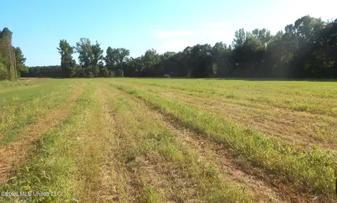 County Road 247, Bruce, MS 38915 photo 3