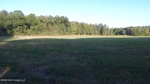 595 County Road 247, Bruce, MS 38915 photo 6
