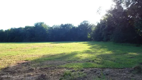 595 County Road 247, Bruce, MS 38915 photo 3