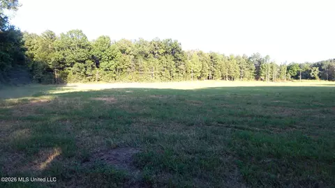 595 County Road 247, Bruce, MS 38915 photo 5