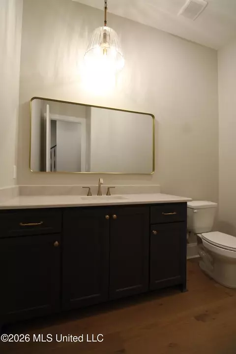 Bath - 282 Oakworth Dr, Hernando, MS 38632 photo 1 of 4