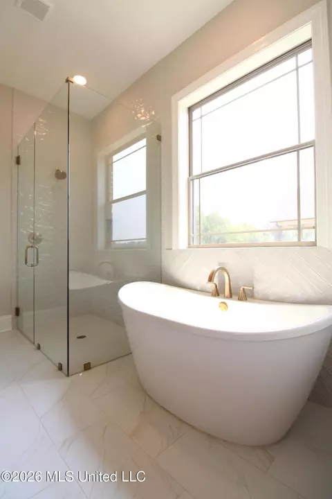 Bath - 282 Oakworth Dr, Hernando, MS 38632 photo 3 of 4