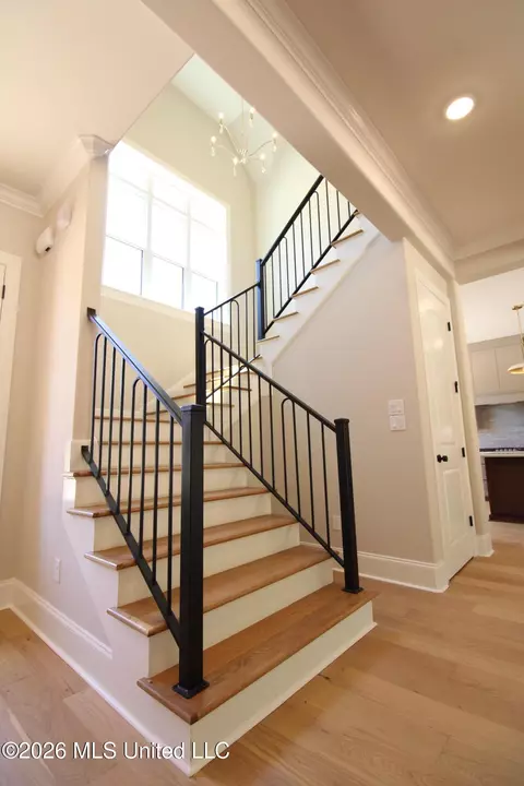 Entry Way - 5220 Sophia Ln, Hernando, MS 38632 photo 4 of 5