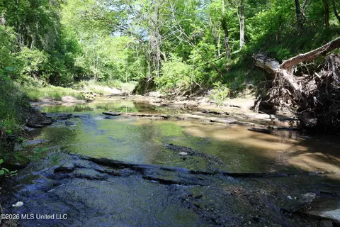 1060 Pearline Bailey Rd, Port Gibson, MS 39150