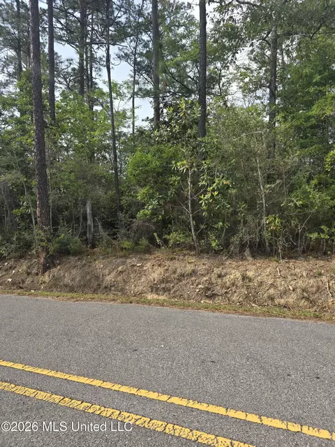 Summerlin Bayou Road, Vancleave, MS 39565