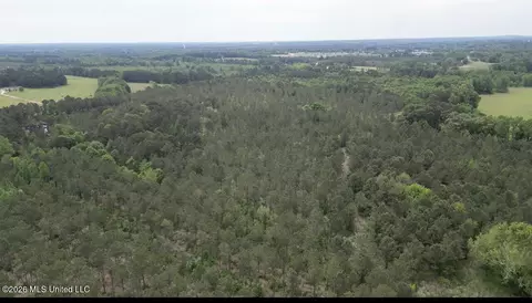167 E West Morgan, Arcadia, LA 71001 photo 25