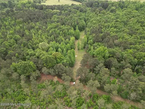 167 E West Morgan, Arcadia, LA 71001 photo 2