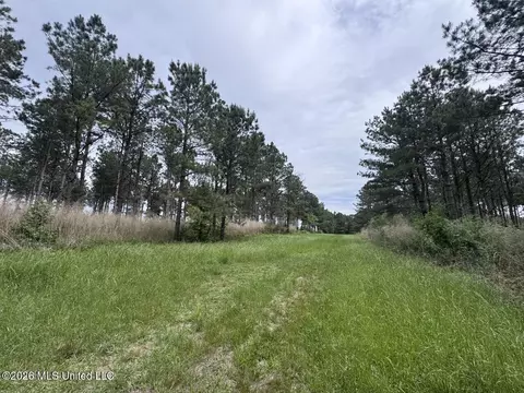 167 E West Morgan, Arcadia, LA 71001 photo 10