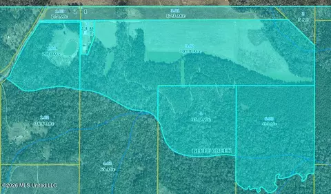 Other - 110 Tyner Branch Rd, Wiggins, MS 39577 photo 81 of 82