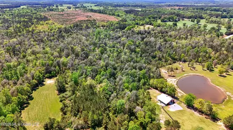 Other - 110 Tyner Branch Rd, Wiggins, MS 39577 photo 58 of 82