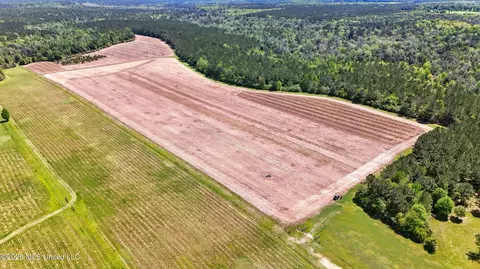 Other - 110 Tyner Branch Rd, Wiggins, MS 39577 photo 59 of 82