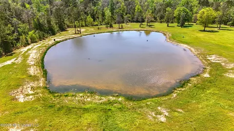 Other - 110 Tyner Branch Rd, Wiggins, MS 39577 photo 57 of 82