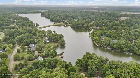 View/Area - 4513 Big Horn Dr, Nesbit, MS 38651 photo 5 of 5