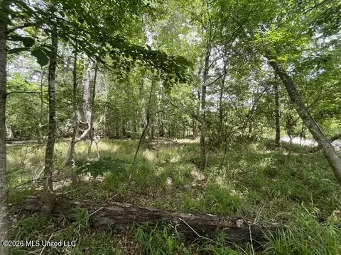 23 74 Acre Highway 57, Perkinston, MS 39573 photo 16
