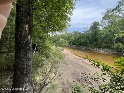 23 74 Acre Highway 57, Perkinston, MS 39573 photo 7
