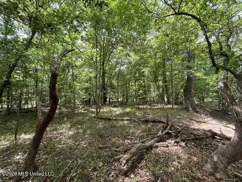 23 74 Acre Highway 57, Perkinston, MS 39573 photo 21