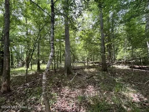 23 74 Acre Highway 57, Perkinston, MS 39573 photo 18