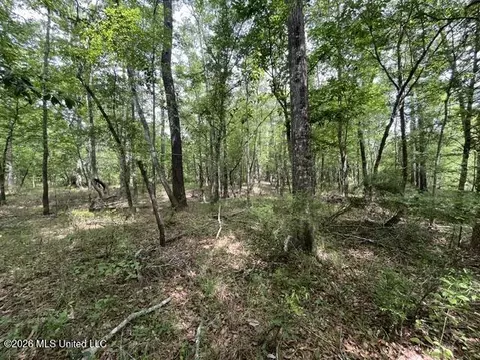 23 74 Acre Highway 57, Perkinston, MS 39573 photo 6