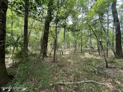 23 74 Acre Highway 57, Perkinston, MS 39573 photo 5