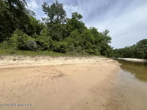 23 74 Acre Highway 57, Perkinston, MS 39573 photo 13