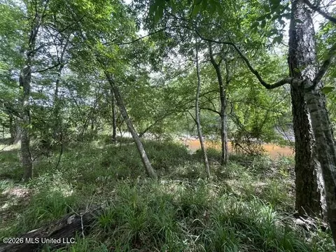 23 74 Acre Highway 57, Perkinston, MS 39573 photo 15
