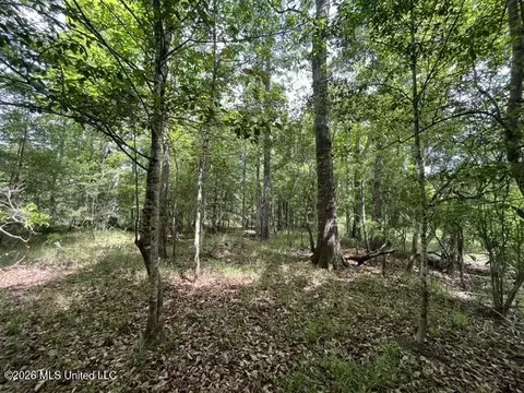 23 74 Acre Highway 57, Perkinston, MS 39573 photo 9