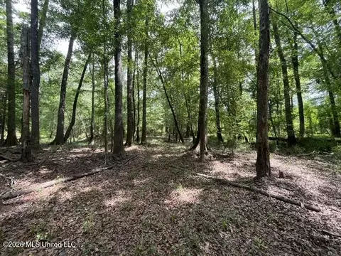 23 74 Acre Highway 57, Perkinston, MS 39573 photo 3