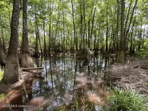 23 74 Acre Highway 57, Perkinston, MS 39573 photo 22