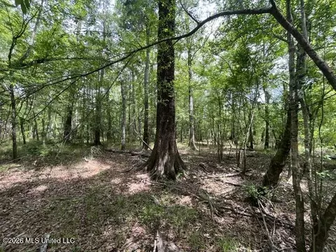 23 74 Acre Highway 57, Perkinston, MS 39573 photo 4