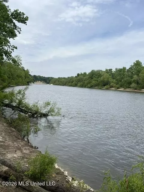 23 74 Acre Highway 57, Perkinston, MS 39573 photo 30