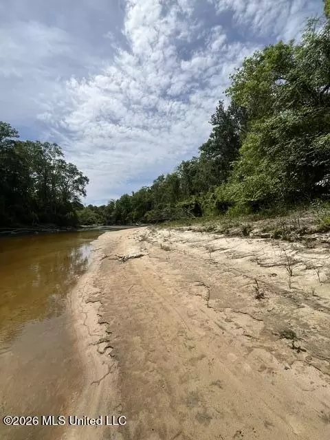 23 74 Acre Highway 57, Perkinston, MS 39573 photo 14