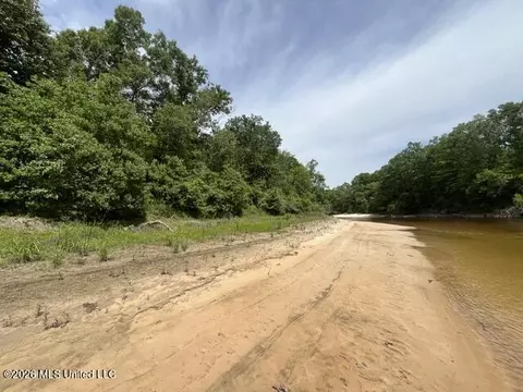 23 74 Acre Highway 57, Perkinston, MS 39573 photo 12