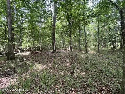 23 74 Acre Highway 57, Perkinston, MS 39573 photo 17