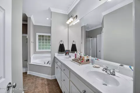 Bath - 668 Hazelton Dr, Madison, MS 39110 photo 2 of 4